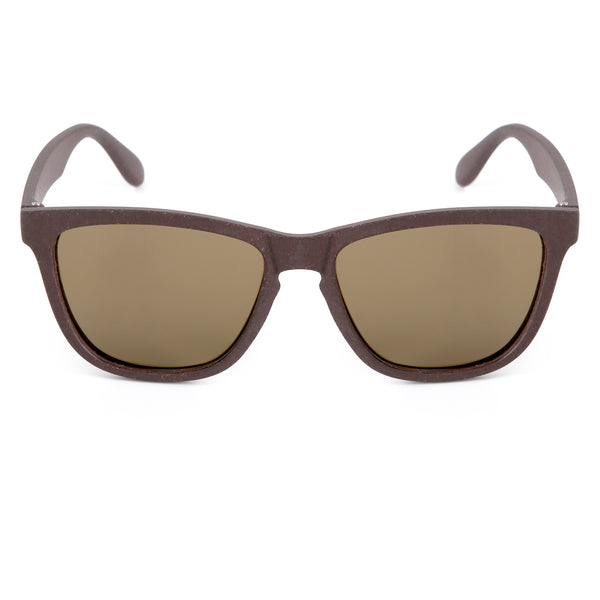 Wilpena Sunglasses - Coffee